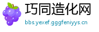 巧同造化网